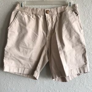 Chubbies Shorts
